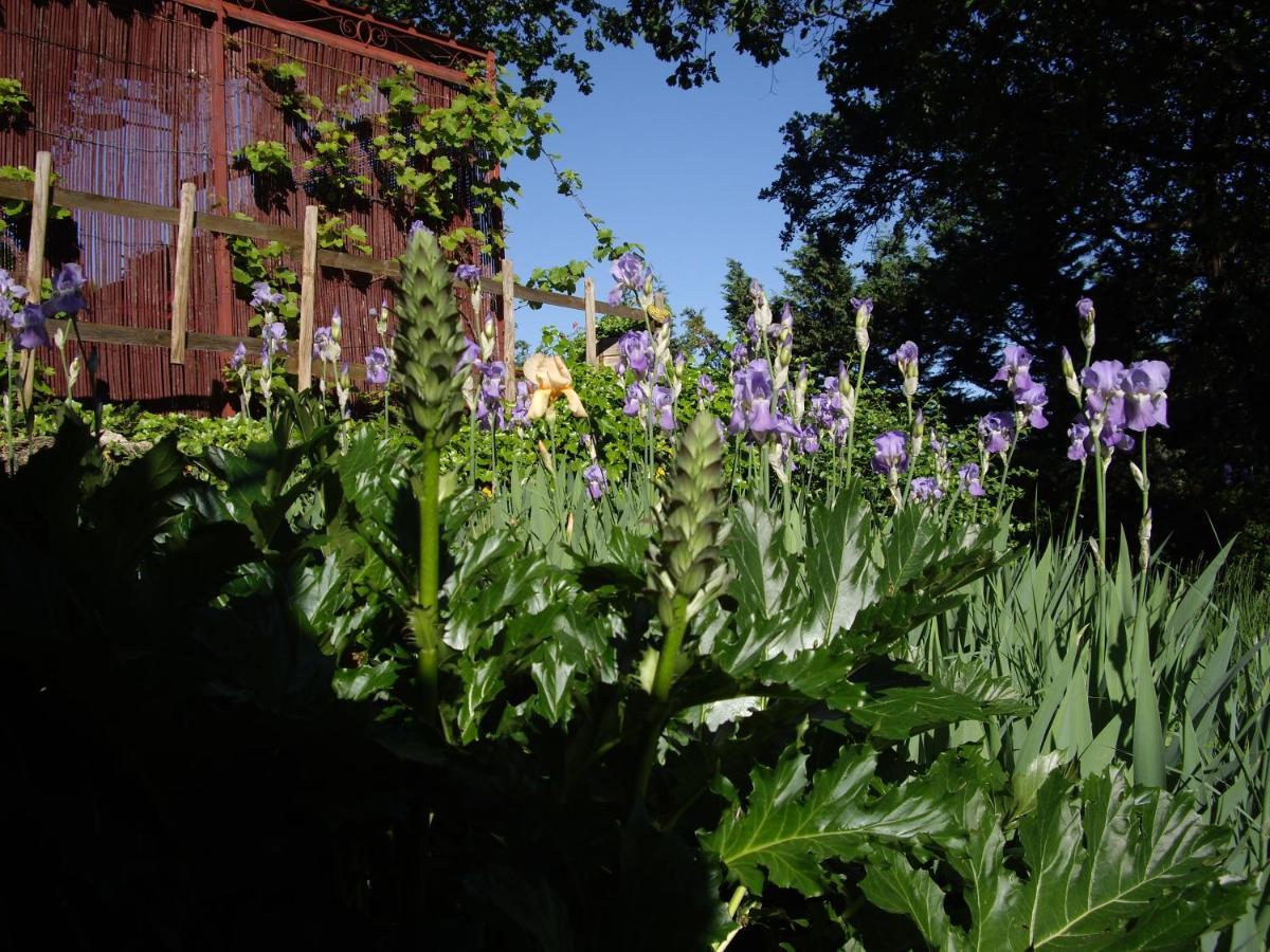 La Bastide De Mauragne - Gite Les Iris Апт Экстерьер фото
